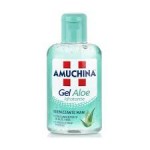 AMUCHINA GEL IGIEN.MANI ALOE 80ML : 8000036023280