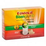 BISENGLUT FOSFOVIT BISCOTTINO 250GR : 8008533740006